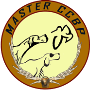 Blog Master CCB