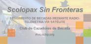 Scolopax Sin Fronteras
