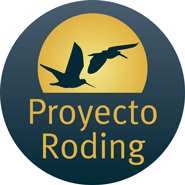 Proyecto Roding